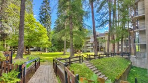 A wooden deck leading to a building with a green roof, surrounded by tall trees and a clear sky. - Comfort Tra Fiume E Pini With Shared Garden and Balcony (Bardonecchia)