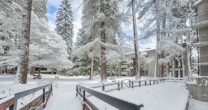 Comfort Tra Fiume E Pini