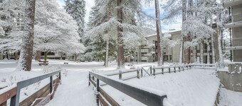 Comfort Tra Fiume E Pini