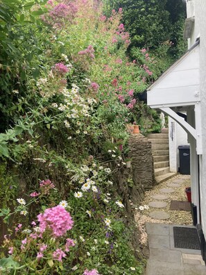 A narrow stone pathway leading to a white building with a stone wall on one side. - Stable Cottage - Braunton - Sleeps 4 - Pet Allowed (Braunton)