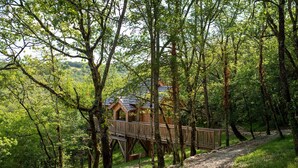A wooden cabin with a deck, surrounded by trees and a gravel path. - Le Lodge De L'Orme - Quercy (Les Pechs-du-Vers)