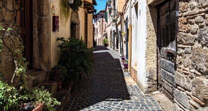 Cozy Apartment in the Historic Heart of Trevignano Romano