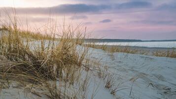 A beach with sand dunes and sparse vegetation.