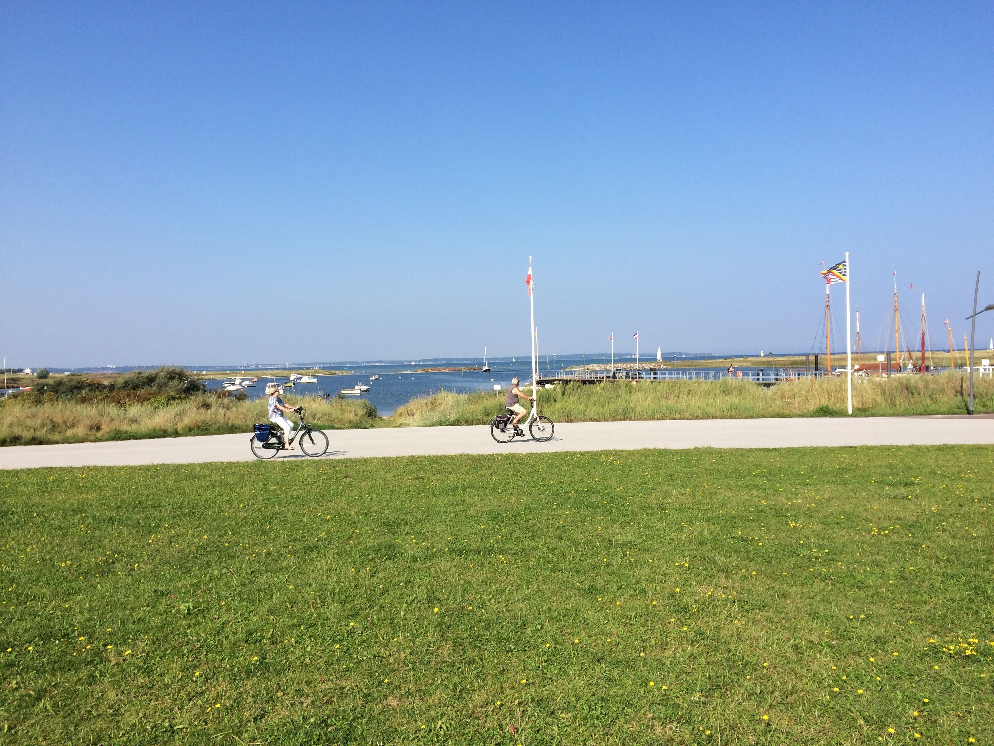 A paved path with grass and dandelions, leading to a body of water with boats and flags.