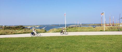 A paved path with grass and dandelions, leading to a body of water with boats and flags.