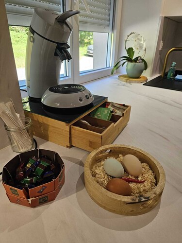 La Dame - Studio Cosy - Proche GE et Alstom