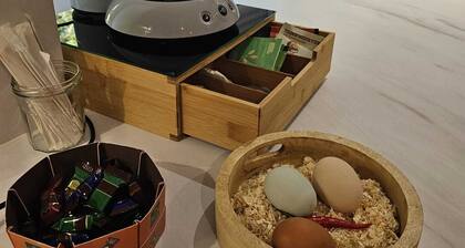 La Dame - Studio Cosy - Proche GE et Alstom