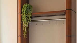 A wooden room with a hanging plant, a book on a shelf, and a coat rack. - Unique apartment with private kitchen and bathroom, inspired by the abstract art of Lena Milius. (Tilburg)
