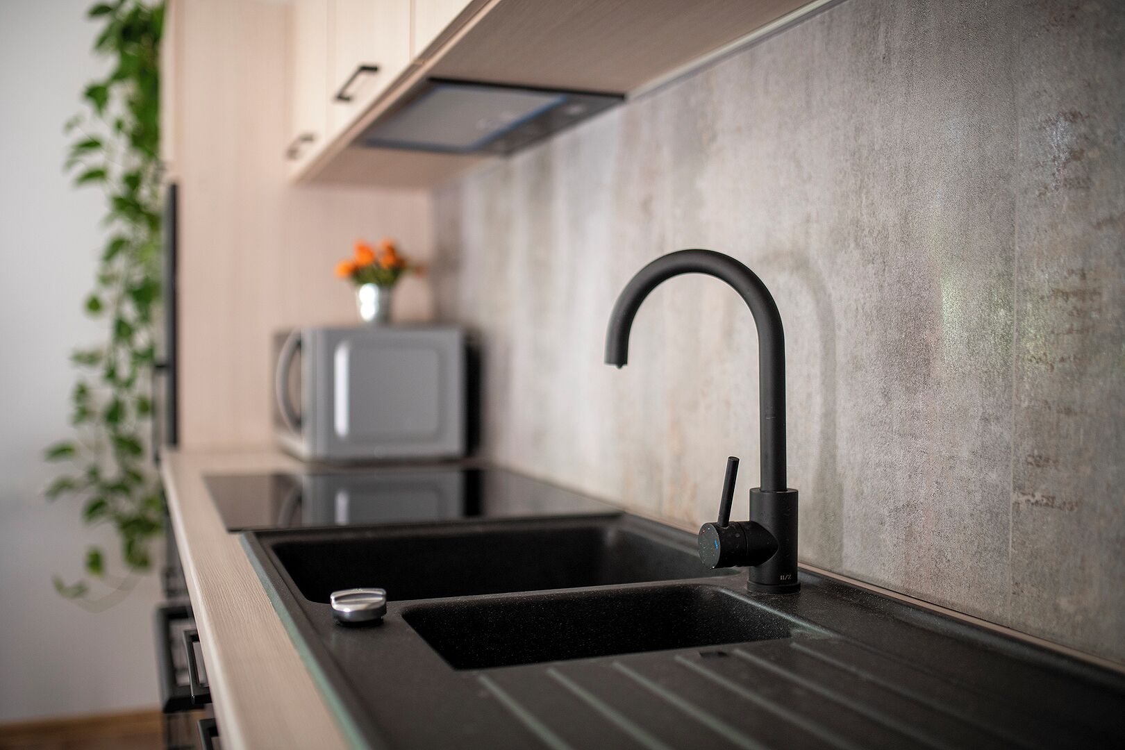 Comfort Apartment | Private kitchen | Electric kettle