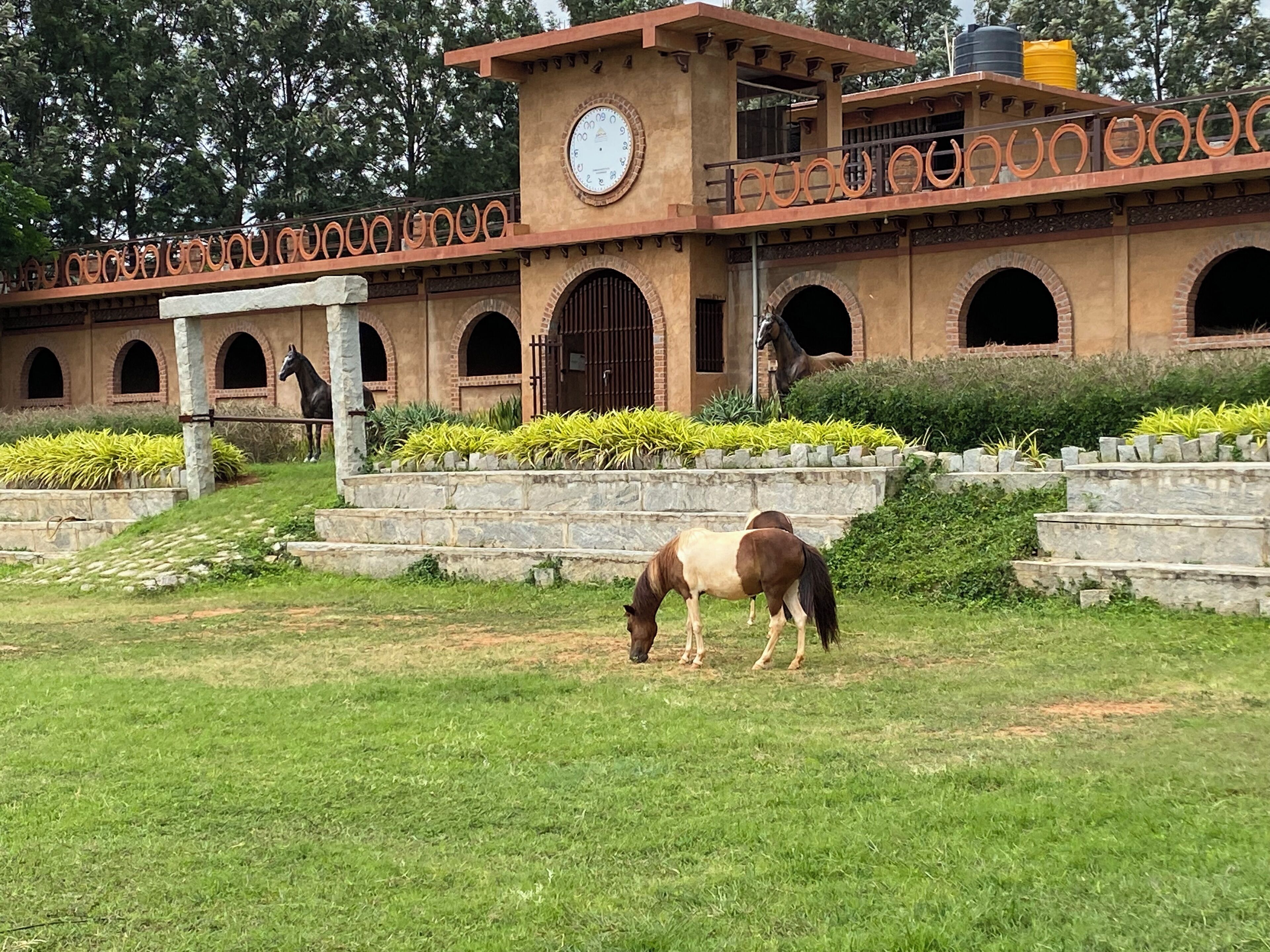 Horse riding