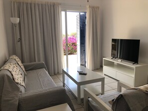 Fernseher, Arbeitsbereiche