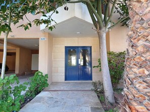 A building entrance with a blue door, a stone pathway, and a small garden area with plants.