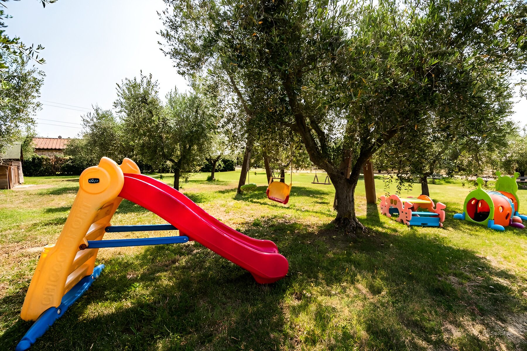 A playground with a slide and swings, surrounded by trees and grass.