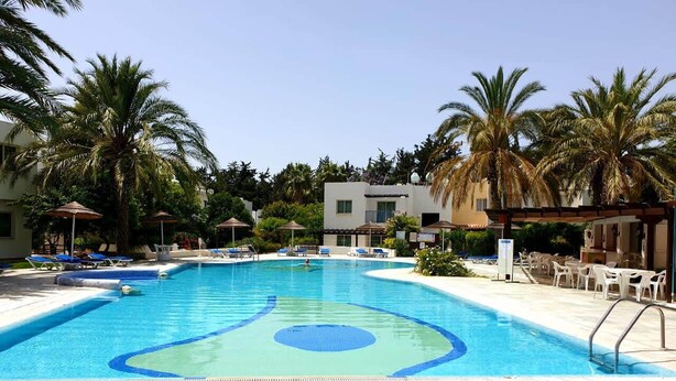 Une piscine avec des chaises longues et des palmiers.