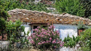 A rustic stone building with a sloped roof, surrounded by lush greenery and flowering plants. - Theros Easy Living (Thasos)