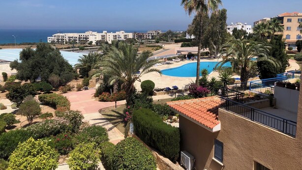 Un complexe hôtelier doté d’une piscine, de palmiers et offrant une vue sur la mer.