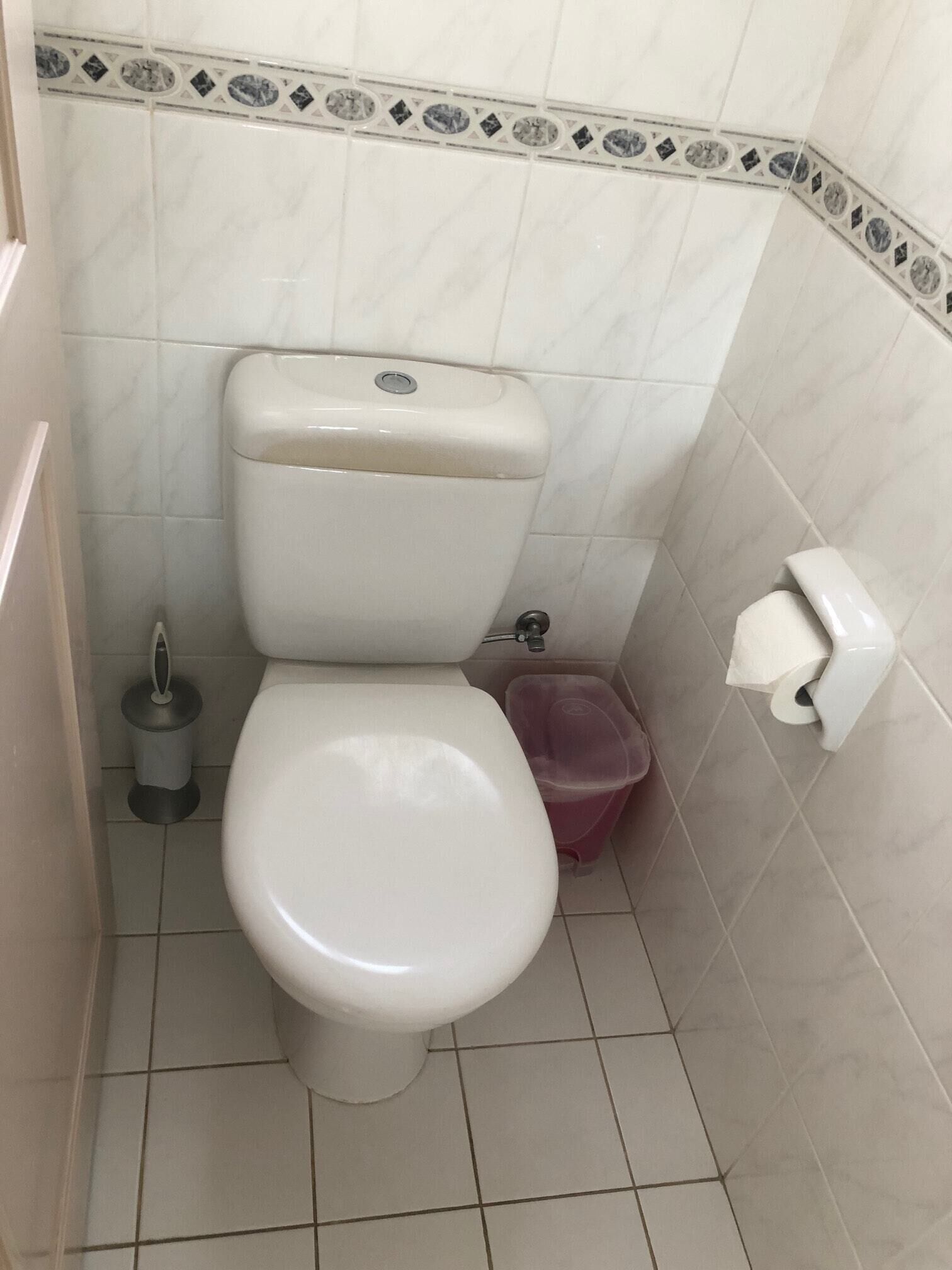 A bathroom with a toilet, a trash bin, and a toilet paper holder.