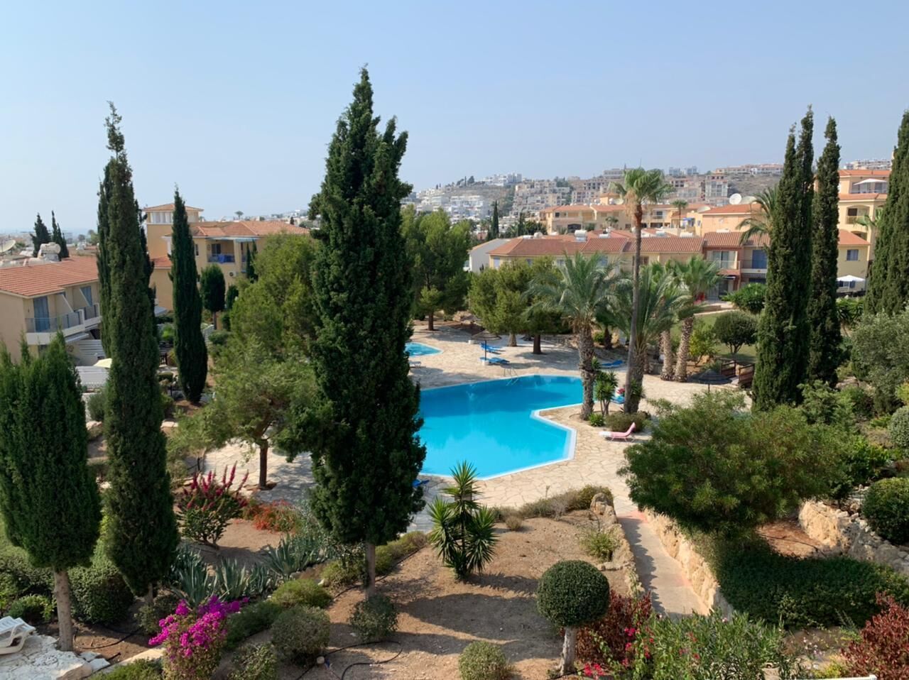 A swimming pool surrounded by greenery and buildings in the background.