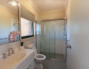 Shower, hair dryer, towels, soap