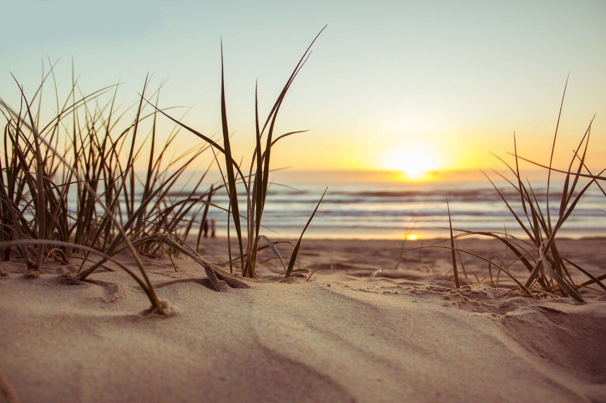 A beach with sand and grass in the foreground and a sunset over the ocean in the background.