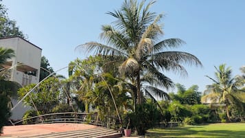 Land view from property