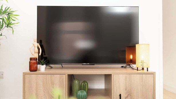 A television on a wooden stand with a plant, a jar, and a decorative item. - Charming fully furnished 2-bedroom home (Nottingham)