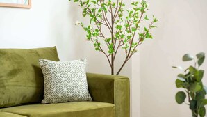 A green sofa with a patterned pillow, a decorative tree, and a vase with green leaves. - Charming Apartment | Free Parking and Wi-Fi (Newark-on-Trent)