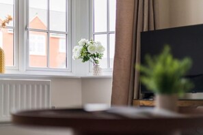 A room with a window, a white radiator, a potted plant, and a television.