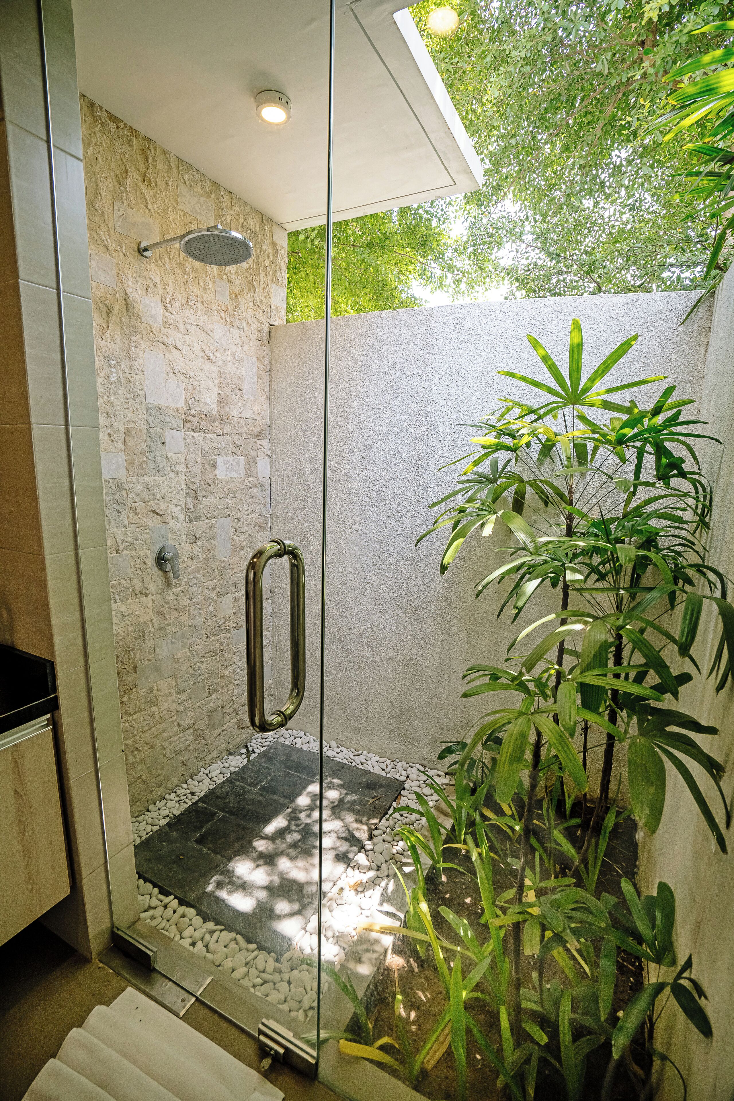Une douche fermée par des parois de verre, avec un mur en pierre, une barre d’appui en métal et une plante en pot.