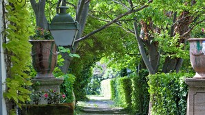 Un sendero en un jardín con un banco de piedra, una farola y una urna grande.