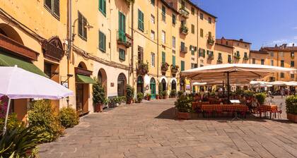 Comfortable Home Romeo Among Greenery