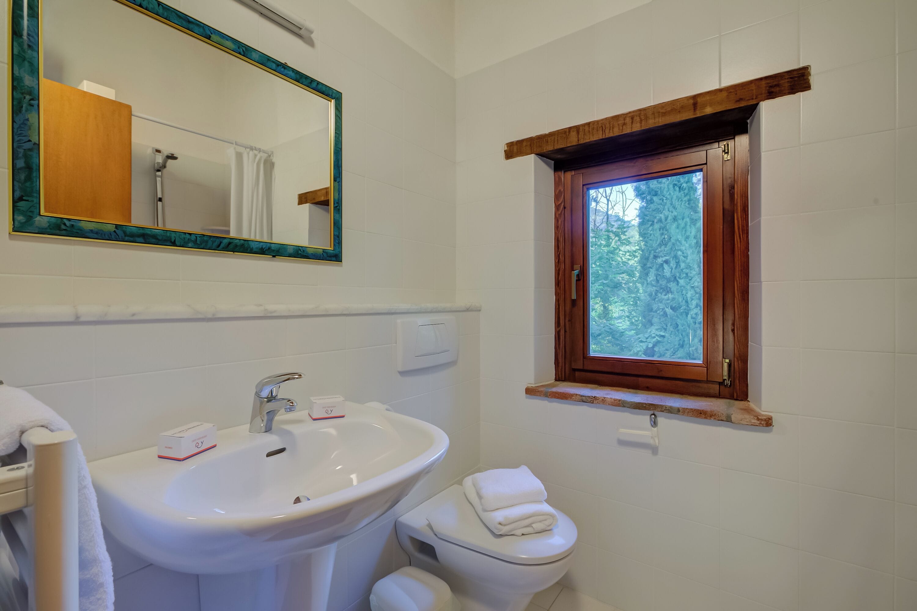 Un baño con un lavabo blanco, un espejo, un inodoro y una ventana con vistas a árboles.
