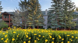Property grounds - Snow Flower 068 3 Bedroom Condo by RedAwning (Park City)