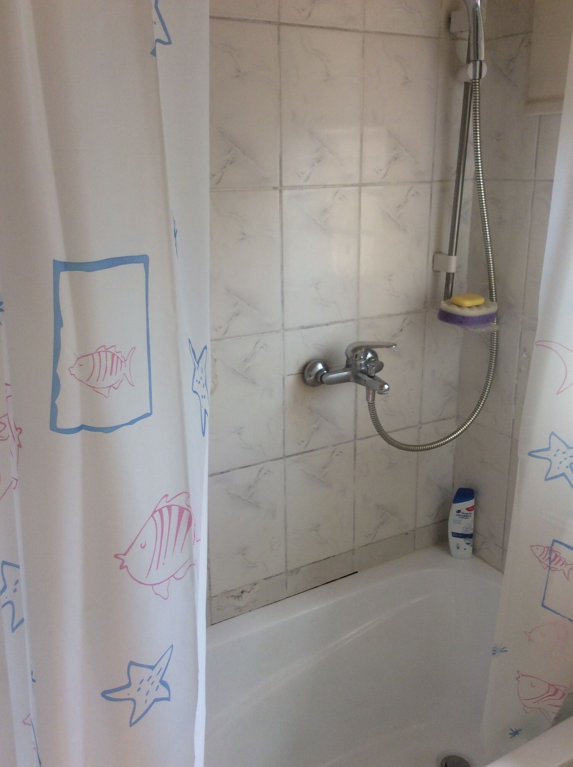 Kamer, 1 slaapkamer, roken, balkon | Badkamer