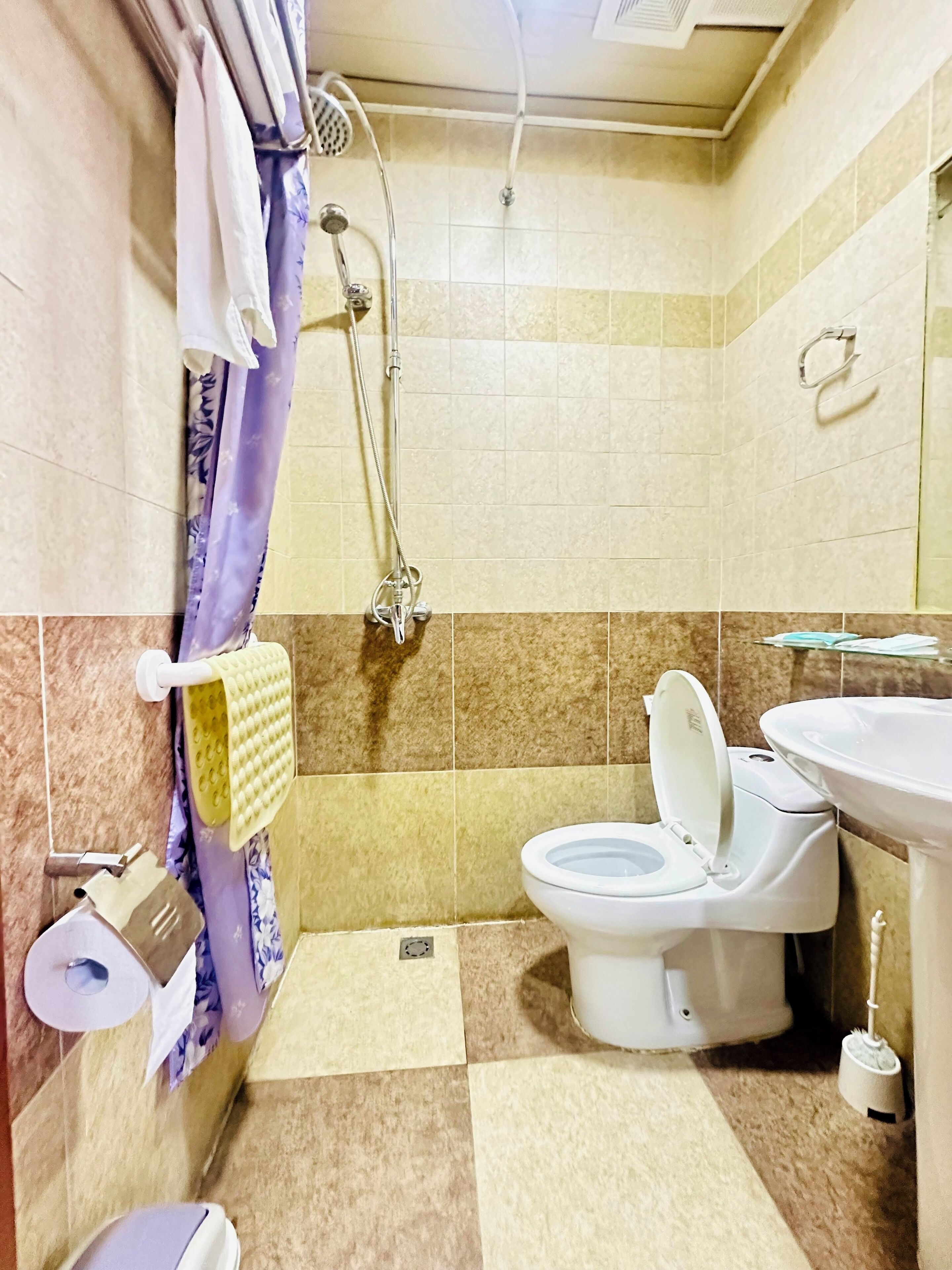 Une salle de bain avec douche, toilettes et lavabo.