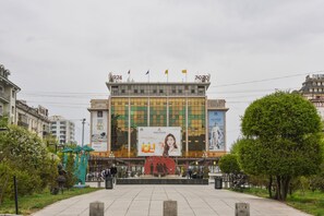 Vistas al campo desde el alojamiento