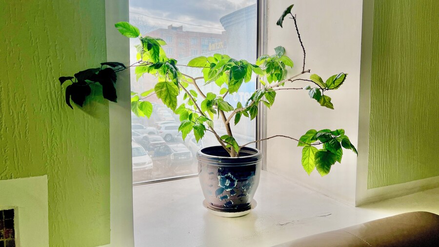 Kharaa Hotel & Restaurant