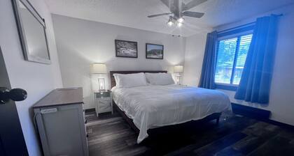 Silver Street Condos - Unit 2 - Explore the Alpine Loop 🏔️🥾🎣
