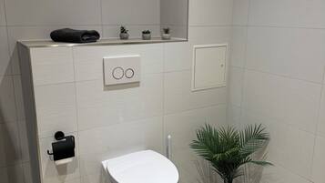 Douche, sèche-cheveux, serviettes fournies, savon