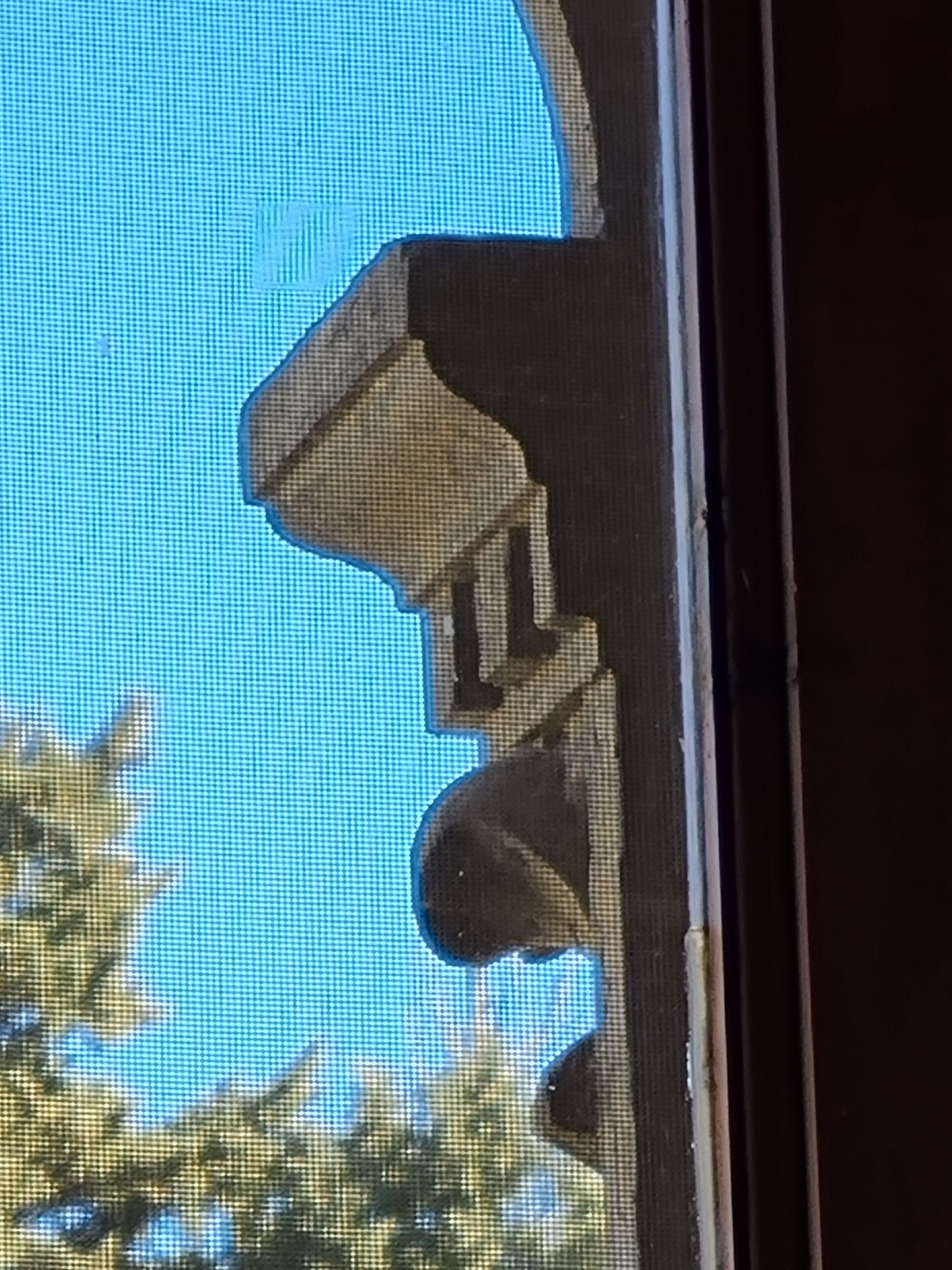 Photo - B&B Firenze 400