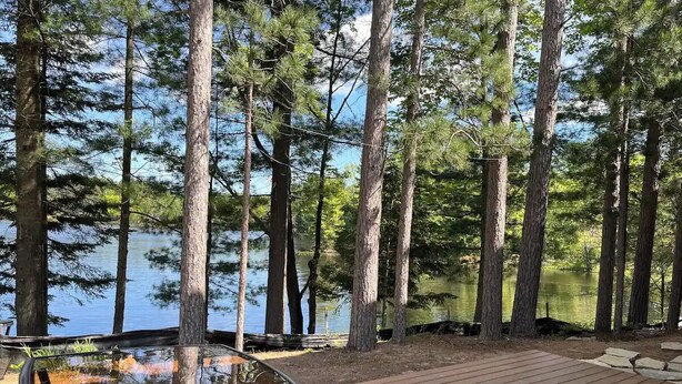 Eine Holzterrasse mit einem Glastisch und Stühlen mit Blick auf einen See, der von hohen Bäumen umgeben ist.