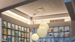 Un intérieur moderne avec un escalier, des étagères intégrées ornées de plantes et un canapé gris.