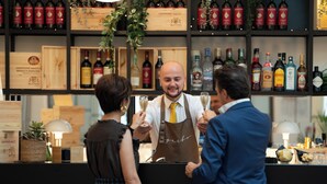 Un espace bar avec un comptoir, des étagères remplies de bouteilles et une plante décorative.