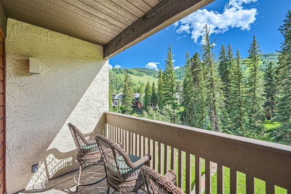 Property grounds - Vail Village 2 BD/2BA condo sleeps 6 (Vail)