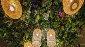 A ceiling with a lush green wall and four wicker pendant lights. - Benjaphorn Grandview Hotel (Songkhla)