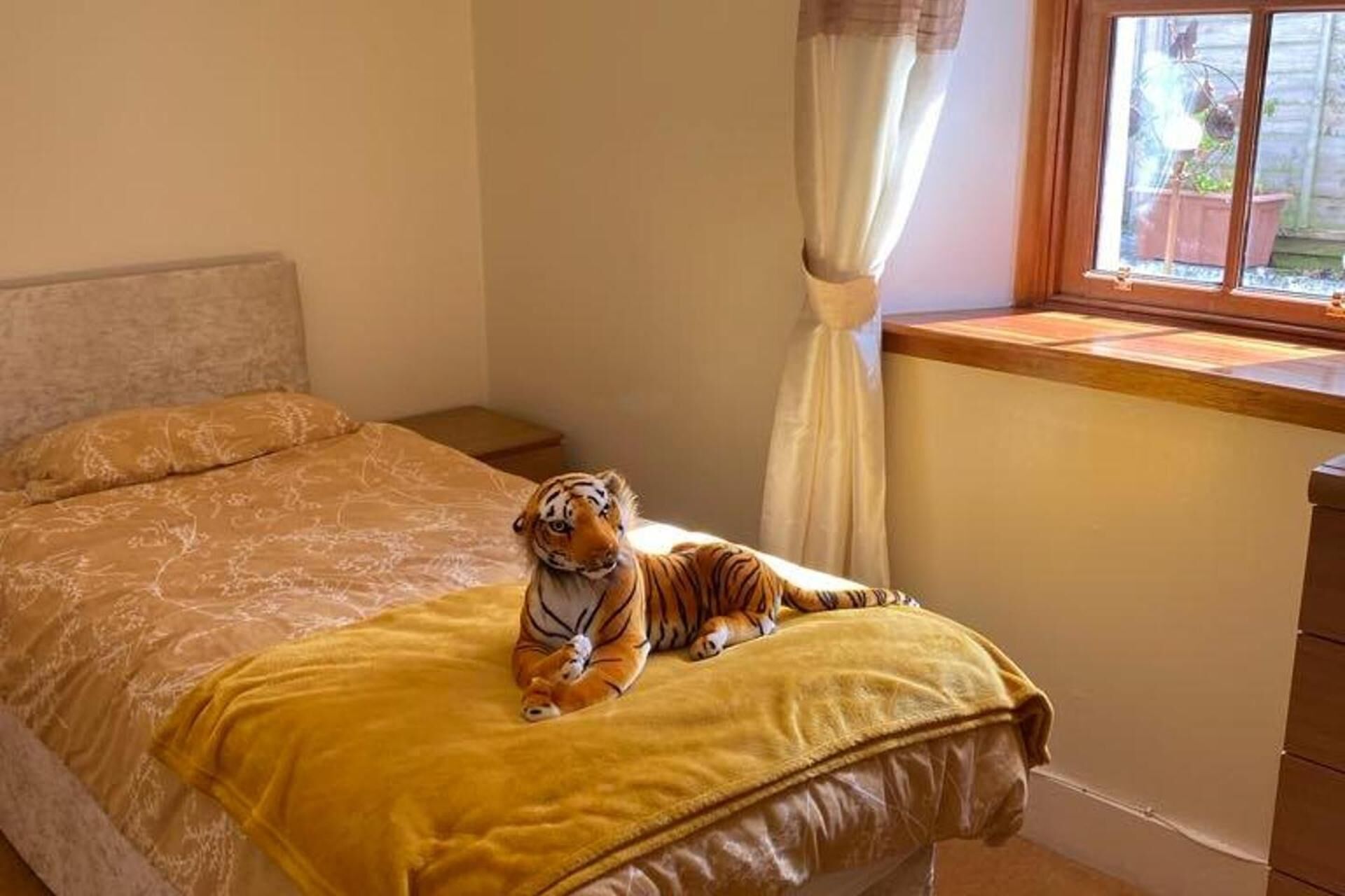 3 bedrooms, free WiFi, bed sheets