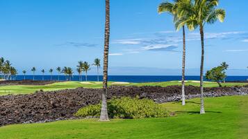Beach/ocean view