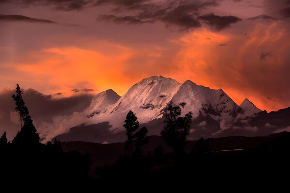 View from room - Schatzi Lodge (Yungar)