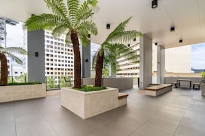 Terraza o patio