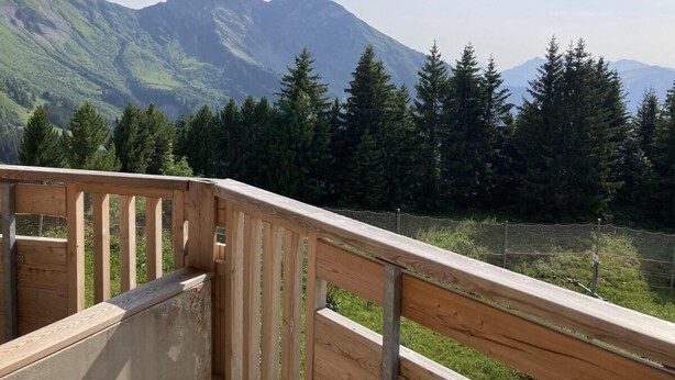 Eine Holzterrasse mit Blick auf Berge und Bäume.